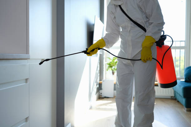 Best Office Mold Removal Services  in Brookside Village, TX