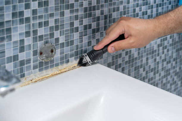 Best Same-Day Mold Removal  in Brookside Village, TX
